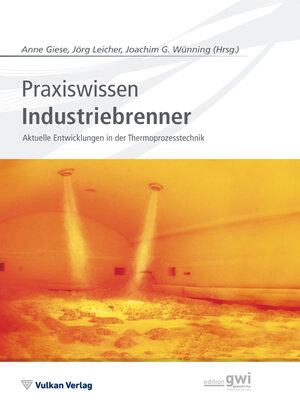 cover image of Praxiswissen Industriebrenner
